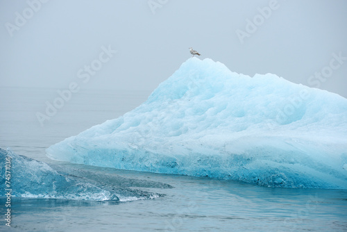 blue iceberg