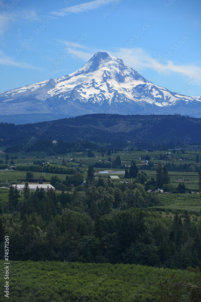 Fototapeta premium mount hood