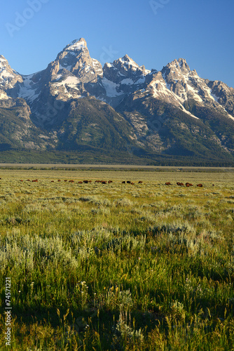grand teton