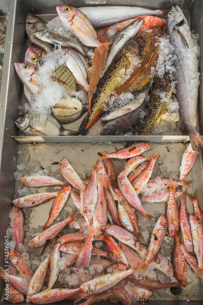 Fresh fish on Greek island Kalymnos local market