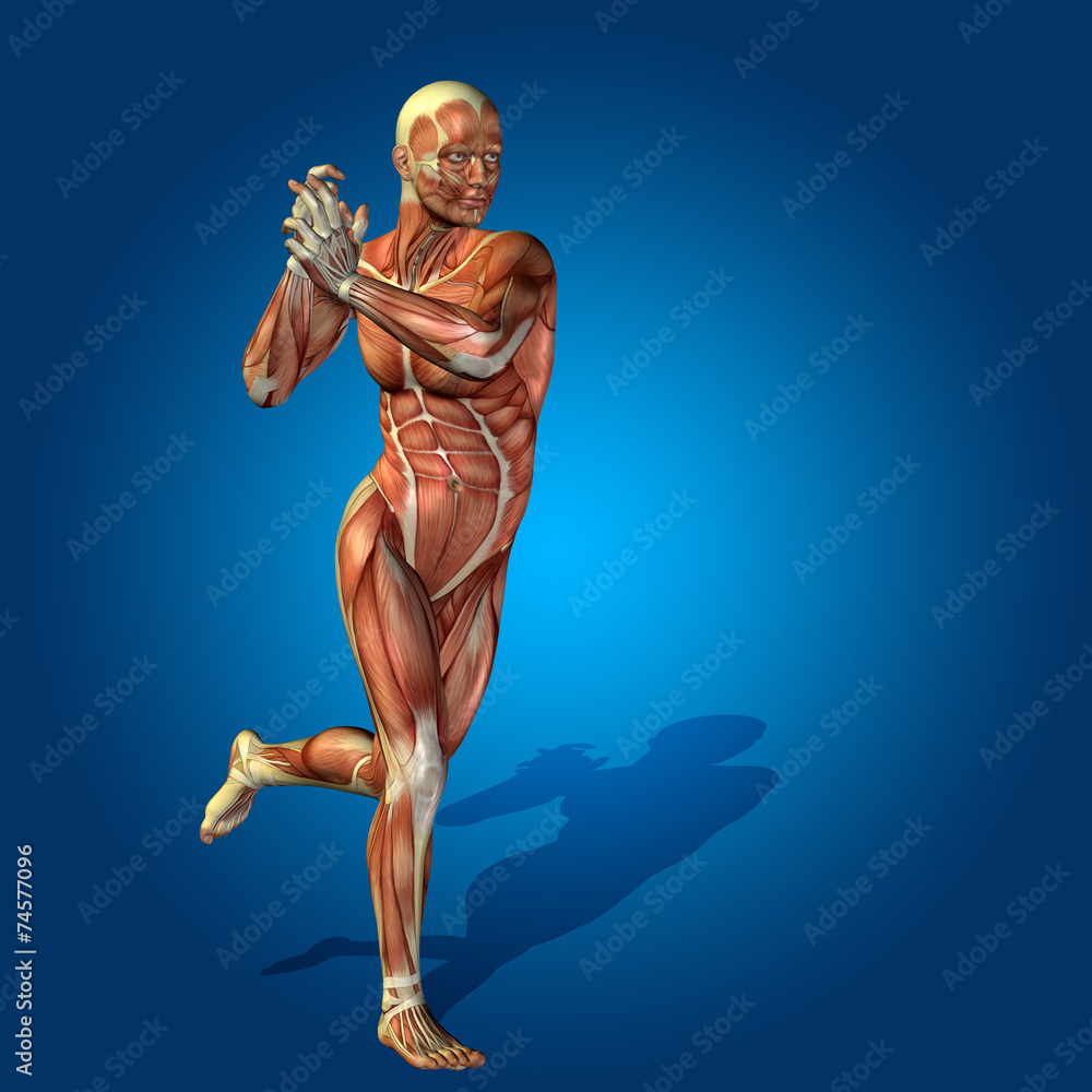 Conceptual 3D human man health anatomy