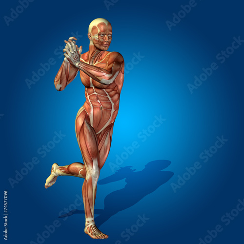 Fotografie, Obraz Conceptual 3D human man health anatomy