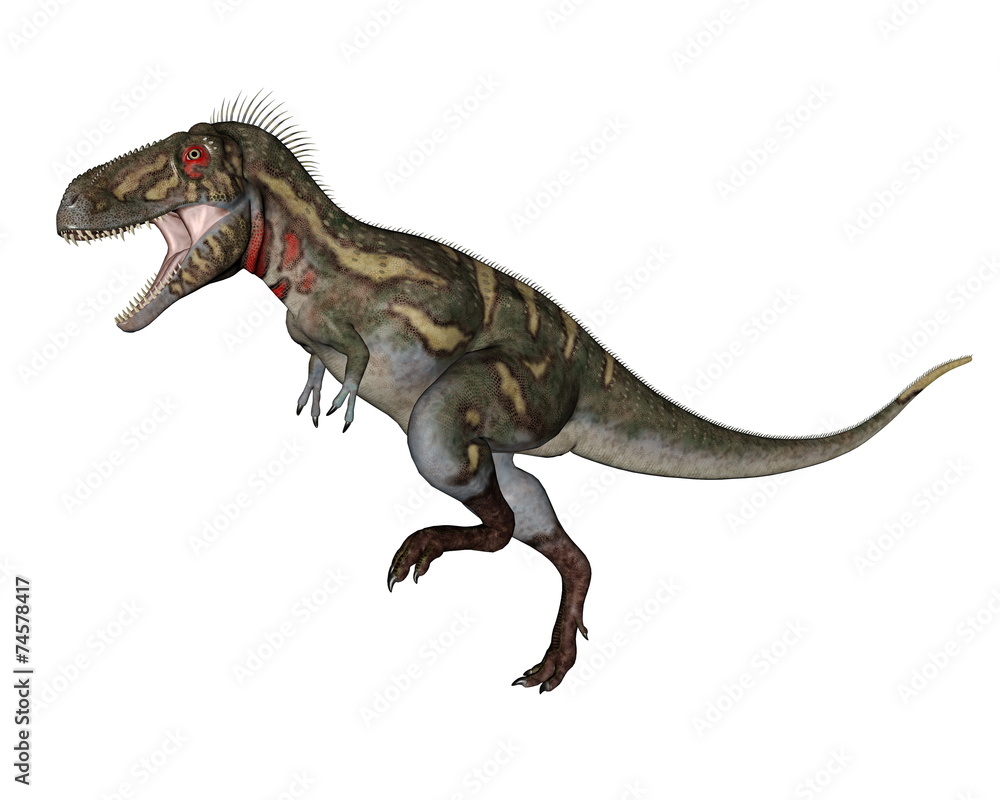 Nanotyrannus dinosaur walking - 3D render Nanotyrannus dinosaur walking - 3D render