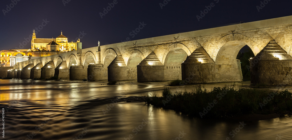 Cordoba Bridge during night