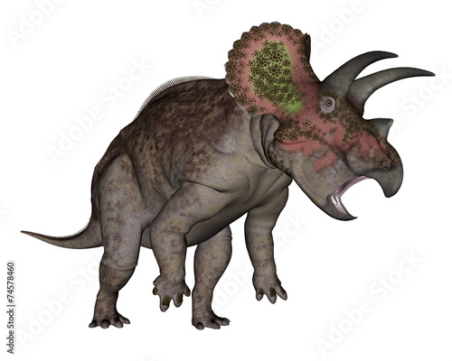 Triceratops dinosaur standing up - 3D render © Elenarts