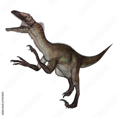Utahraptor dinosaur roaring - 3D render © Elenarts