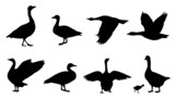 goose silhouettes