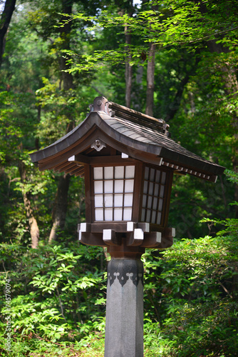 japanese decoration with trees © porbital