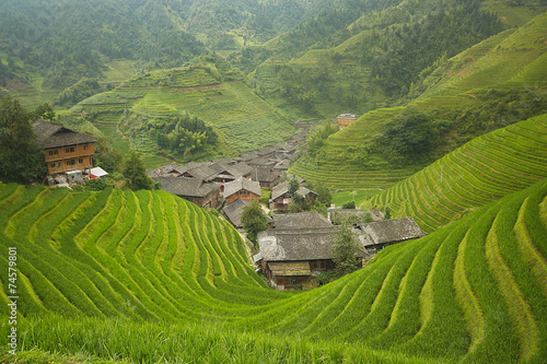 Longji rice fields, Dragon Hill. Ping'an, China photo