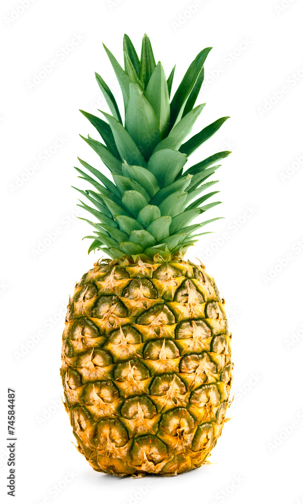 Fresh whole pineapple Fresh whole pineapple