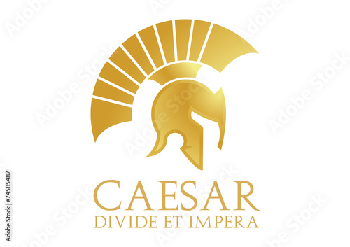 Vector helmet logo