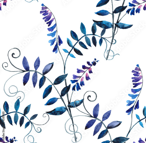 wild vetch