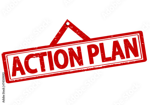 Action plan