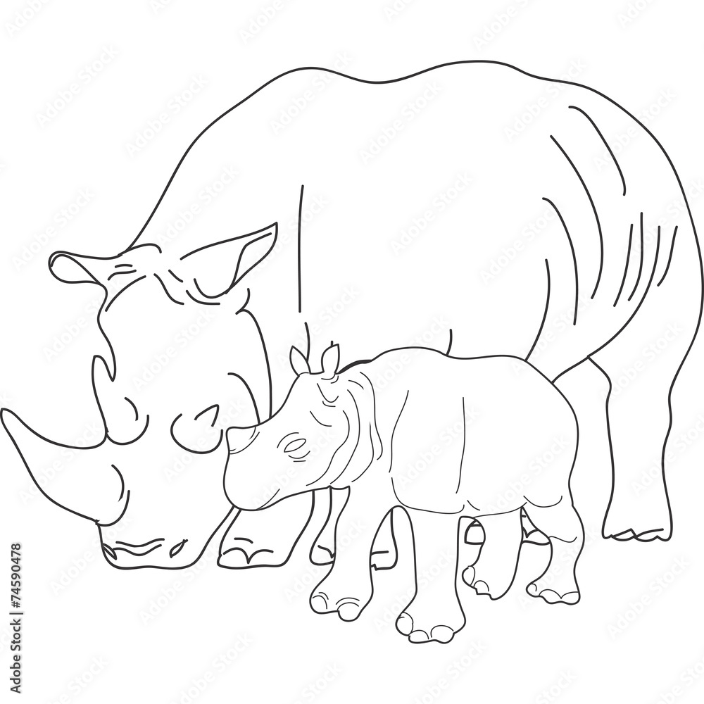 Naklejka premium rinoceronte