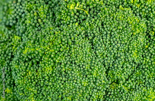 Green background texture of broccoli head