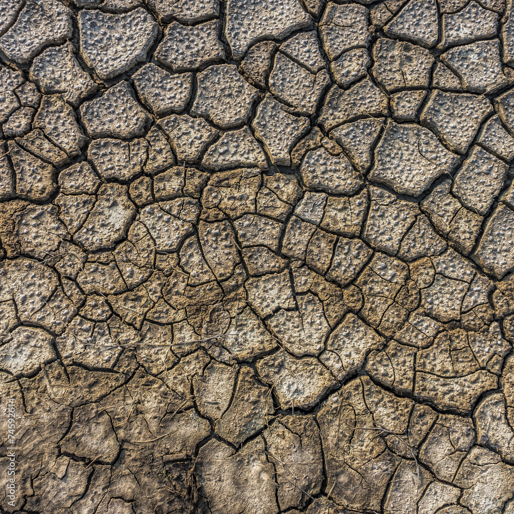 Dry cracked soil of salt evaporation pond Dry cracked soil of salt evaporation pond