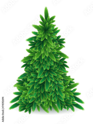 green Christmas tree vector illustration isolated © belander