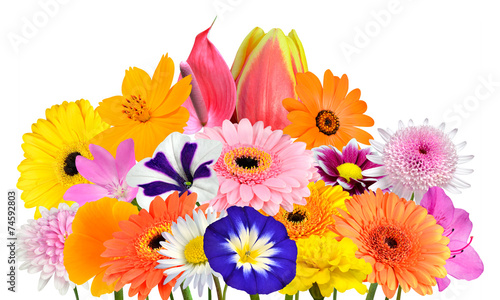 Fototapeta Naklejka Na Ścianę i Meble -  Flower Bouquet Collection of Various Colorful Flowers Isolated