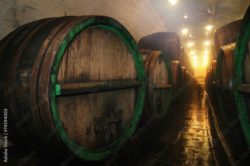 Fototapeta premium underground cellar with big oak barrel