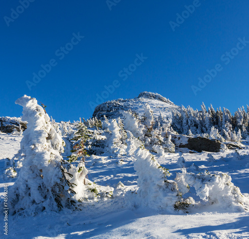 Wallpaper Mural Winter in mountains Torontodigital.ca