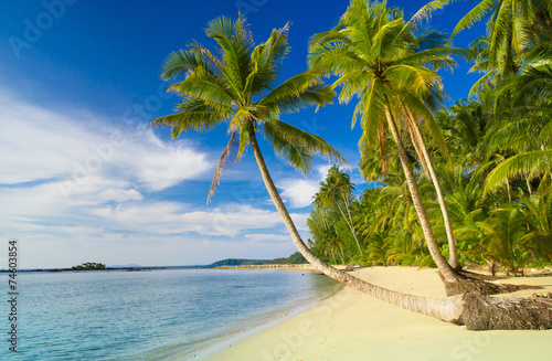 Serenity Shore Coconut Coast © alma_sacra