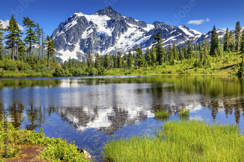 Picture Lake Evergreens Mount Shuksan Washington USA