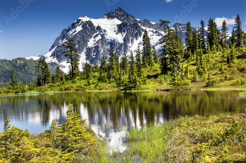 Fototapeta Naklejka Na Ścianę i Meble -  Picture Lake Evergreens Mount Shuksan Washington USA