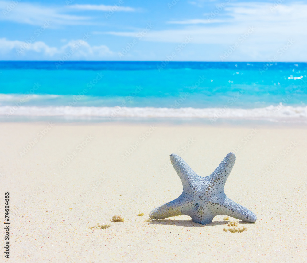 Vacations Sea Surf Vacations Sea Surf