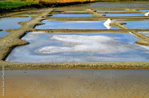 Wallpaper Mural oeillet de sel prêt a tirer par le saunier Torontodigital.ca