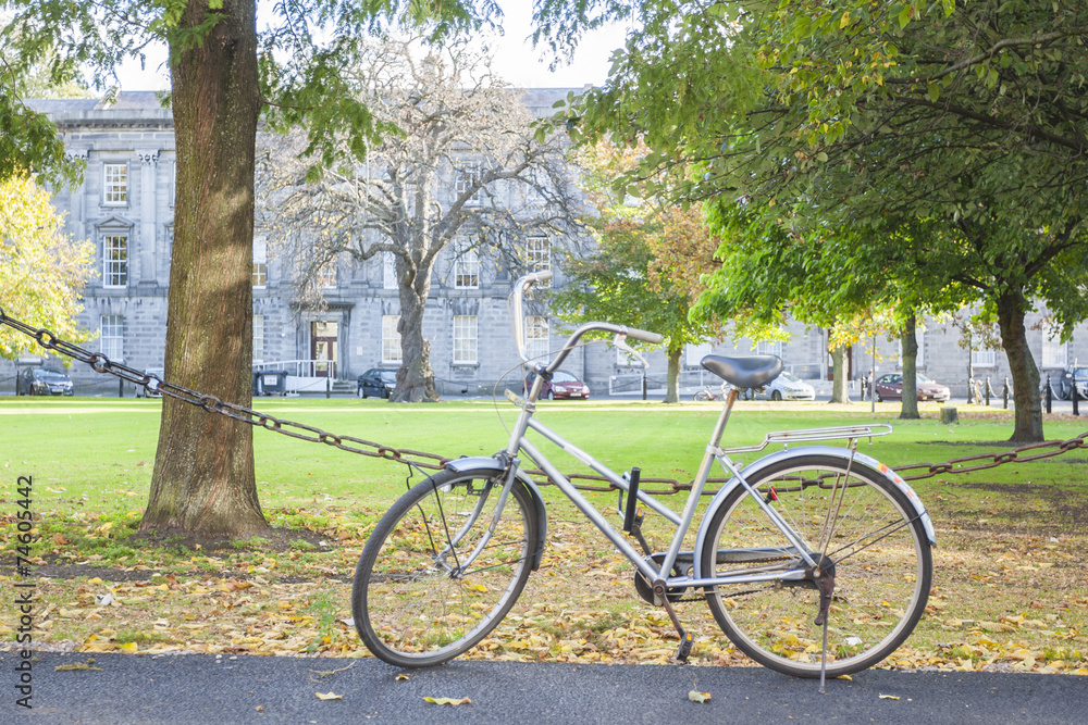 Fototapeta premium Bike at the park