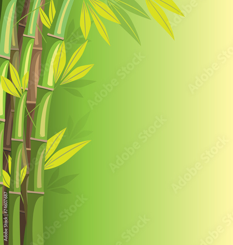 Green bamboo on green background with shadows