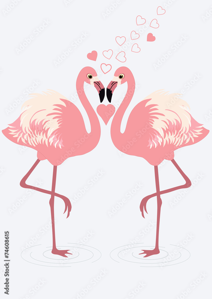 Fototapeta premium Pair of flamingos