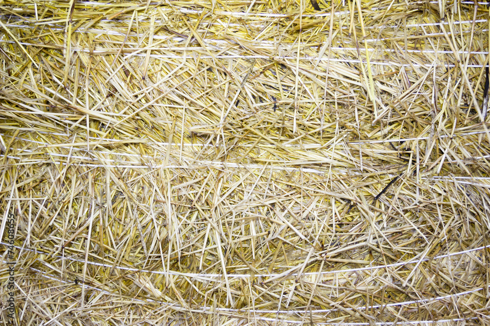 background of close-up bale of straw background of close-up bale of straw