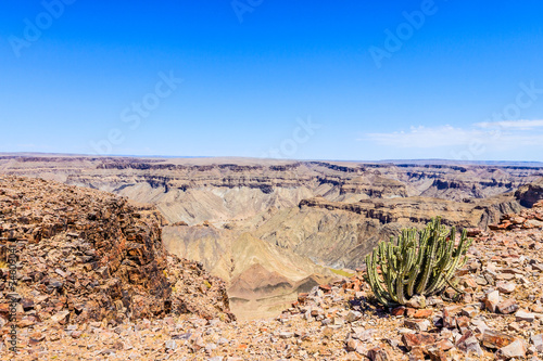 Namibische Giftwolfsmilch am Fischfluss-Canyon photo