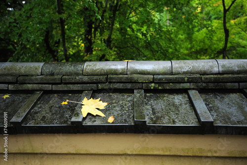 leaf on japanese style roof photo