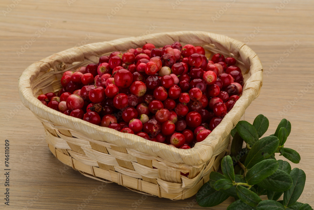 Cowberry Cowberry