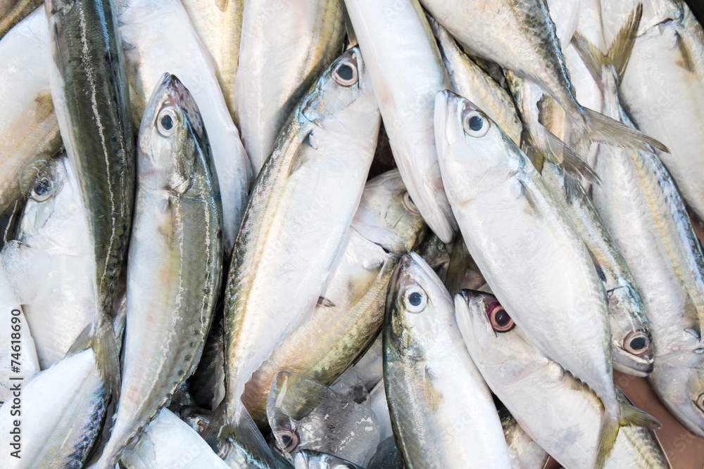 Fresh fish at the seafood market