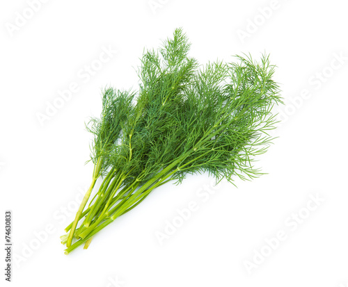 Fresh fennel