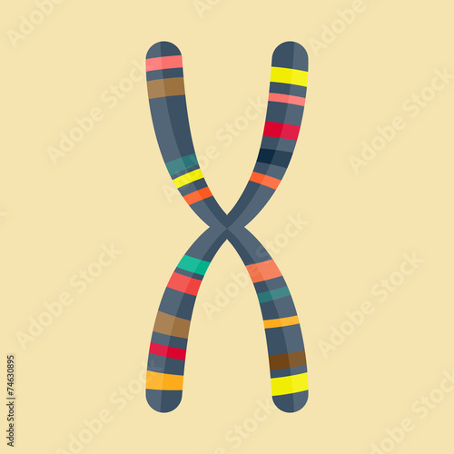 Abstract Illustration of chromosome in modern flat design photo