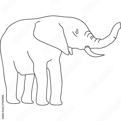 elefante