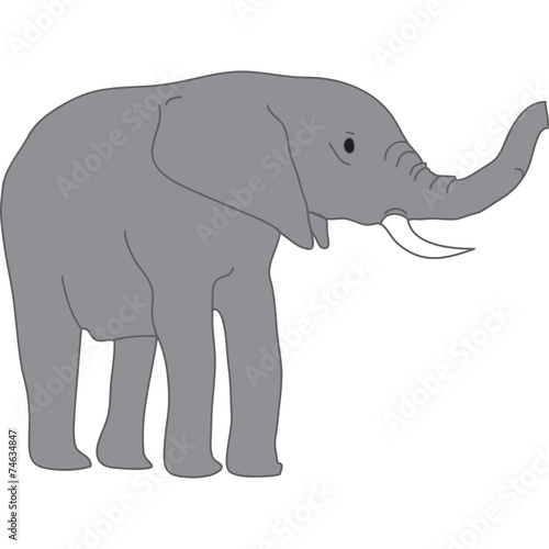 elefante