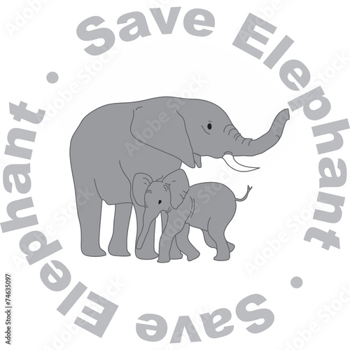 elefante