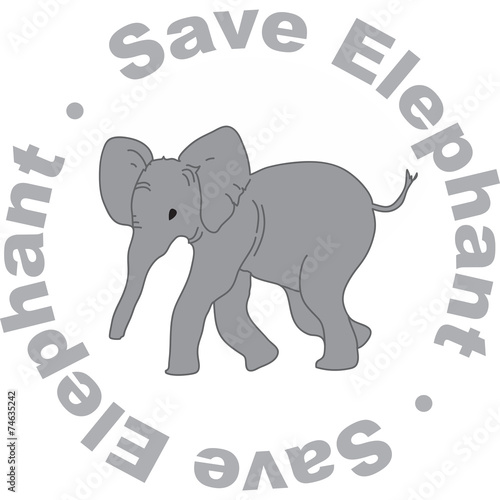 elefante