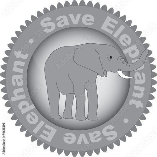 elefante