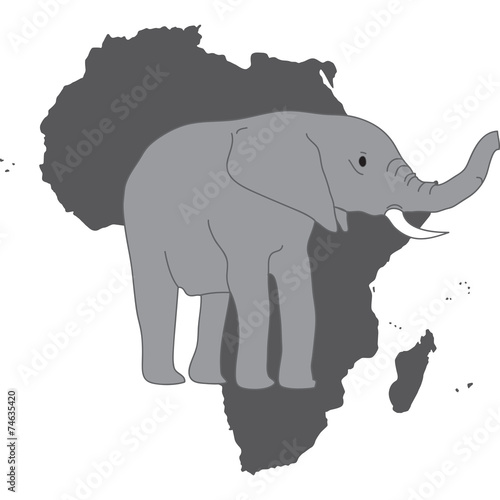elefante