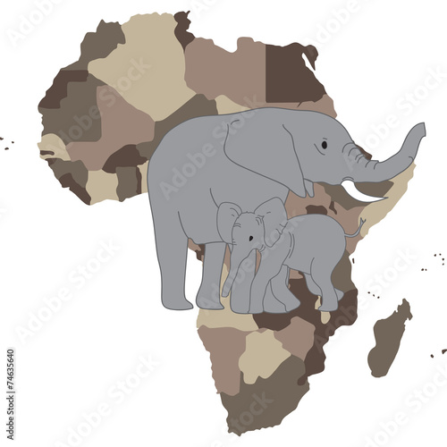 elefante