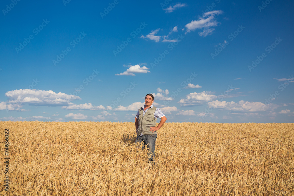 farmer standing in a wheat field farmer standing in a wheat field
