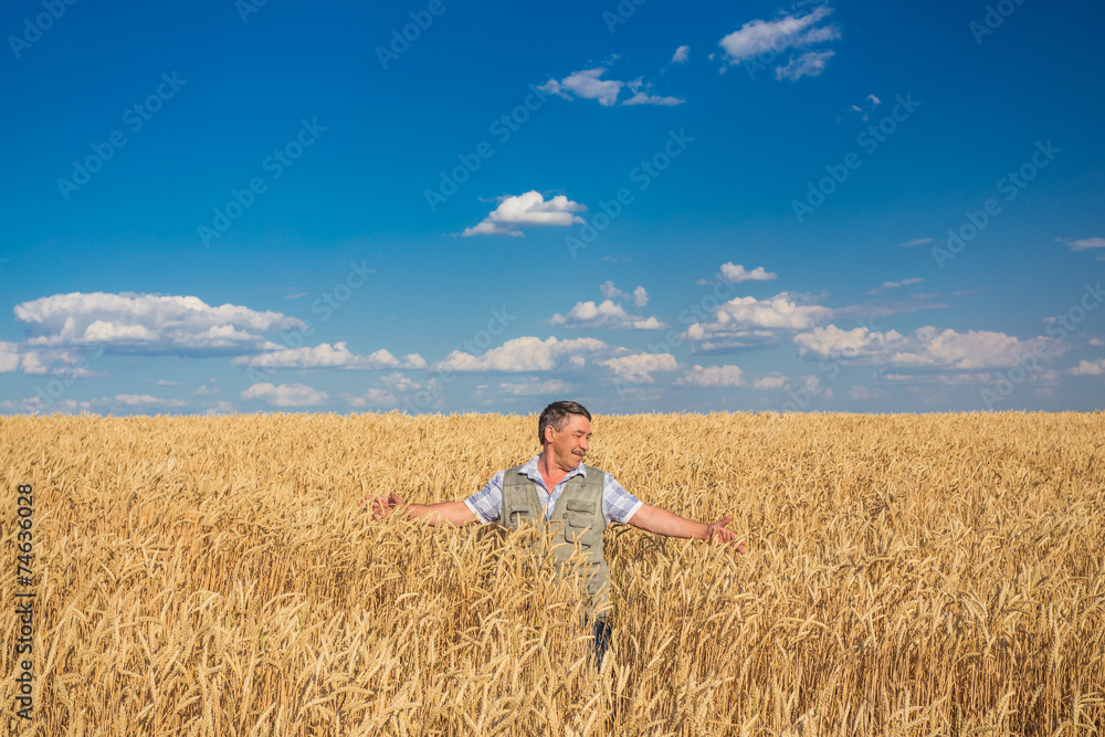 farmer standing in a wheat field farmer standing in a wheat field