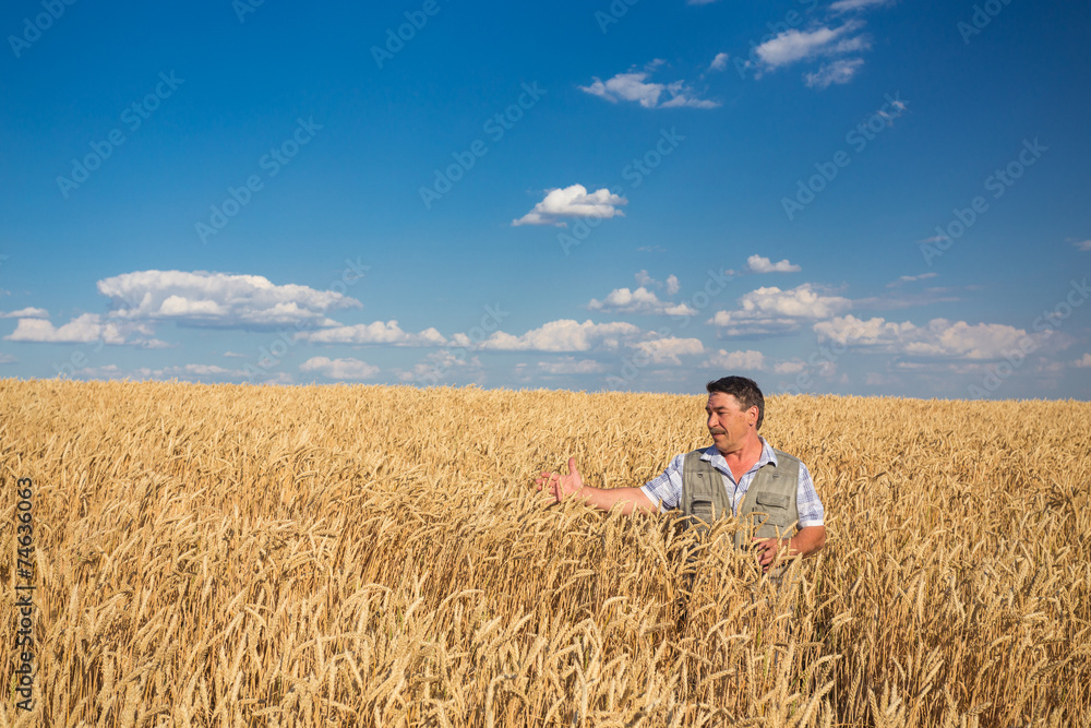 farmer standing in a wheat field farmer standing in a wheat field