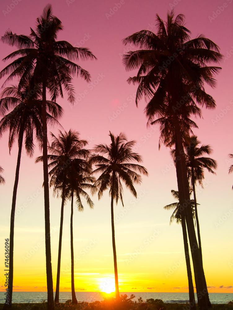 Bay View Palm Paradise